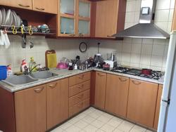 Carissa Park Condominium (D17), Condominium #126401732